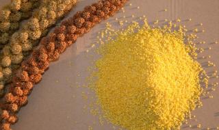 杨凌农博会 杨凌农博会